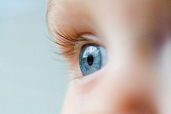  Njihuni me 10 fakte interesante për sytë
