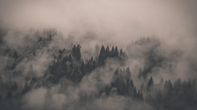  Edhe mjegulla ndikon në shëndetin tuaj